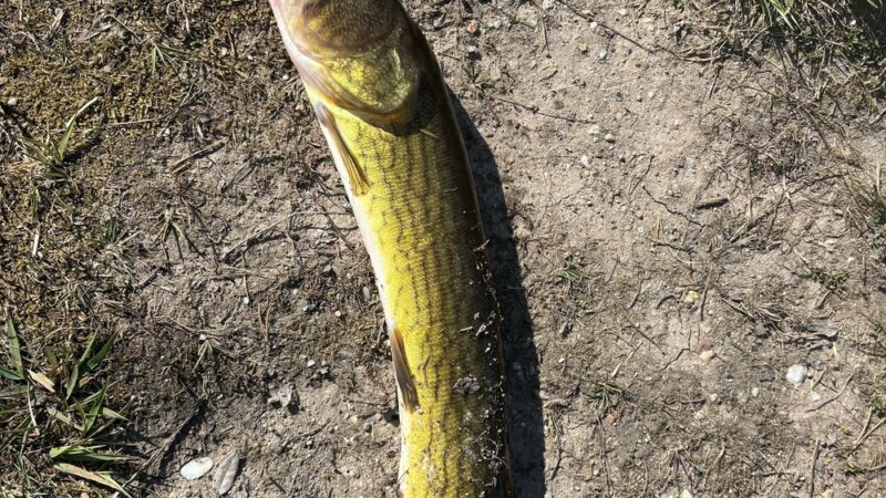 Lake Marie - Weatherly, PA