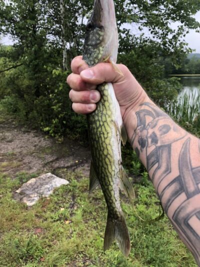 Lake Marie - Weatherly, PA
