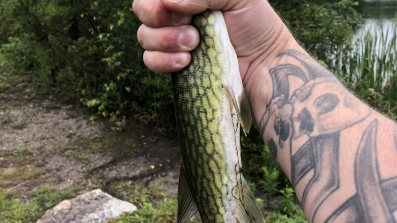 Lake Marie - Weatherly, PA