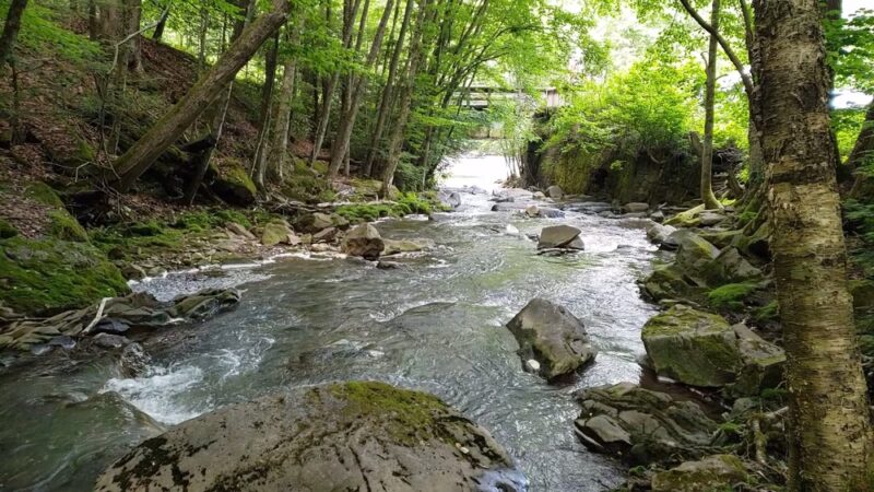 Rockport Trailhead - Weatherly, PA