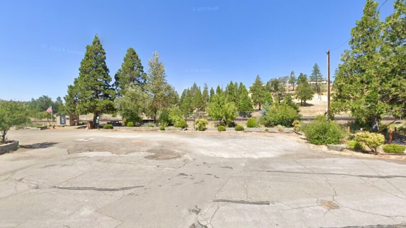 Cougar Park - Weed, CA