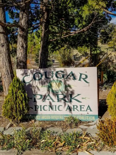 Cougar Park - Weed, CA