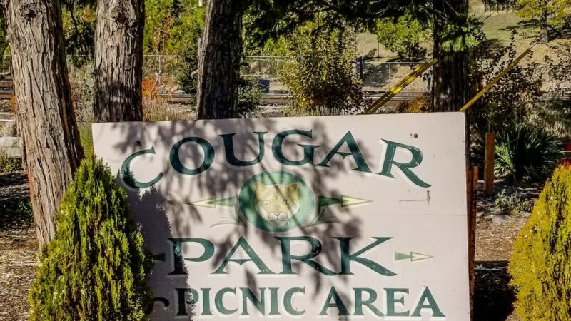 Cougar Park - Weed, CA