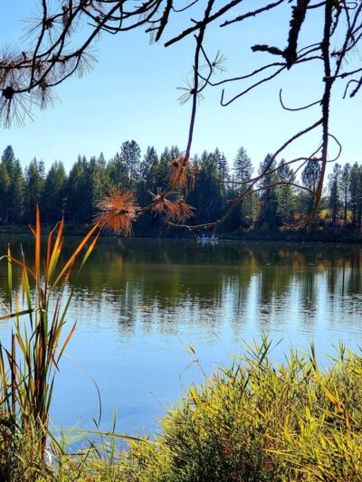 Deyo Reservoir - Weippe, ID