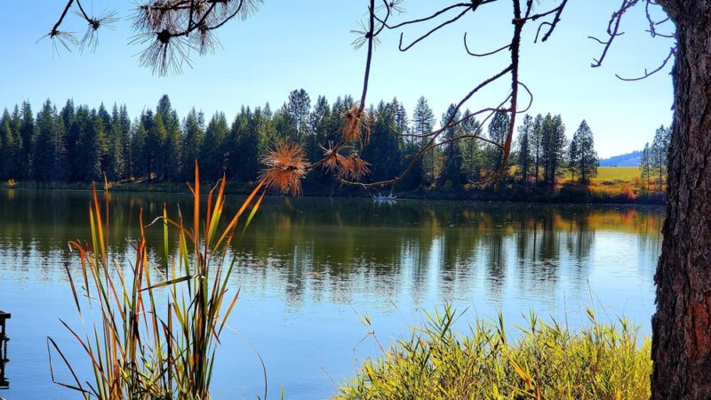 Deyo Reservoir - Weippe, ID
