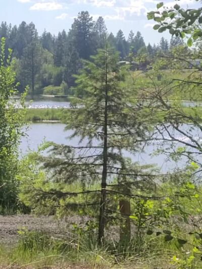 Deyo Reservoir - Weippe, ID