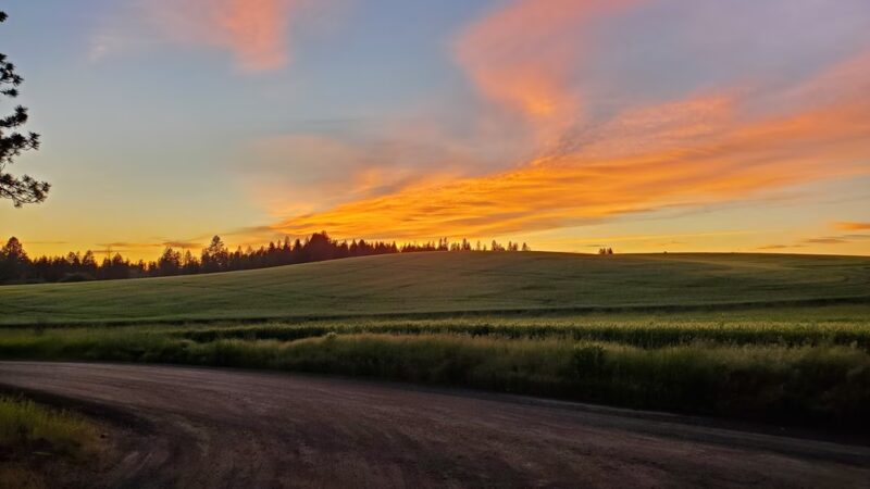 Deyo Reservoir - Weippe, ID