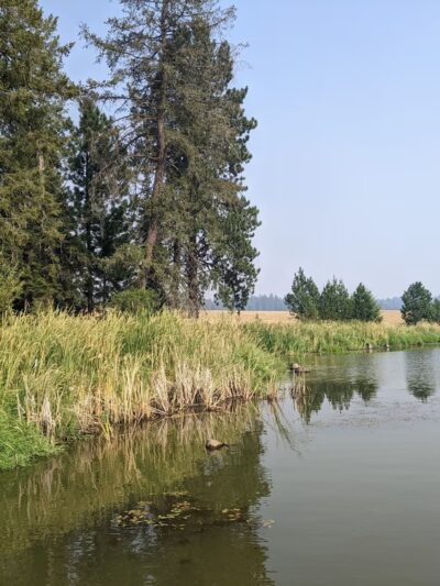Deyo Reservoir - Weippe, ID