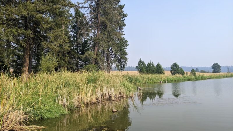 Deyo Reservoir - Weippe, ID