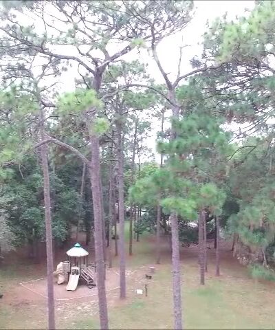 Weirsdale Park - Weirsdale, FL