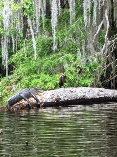 Weirsdale Park - Weirsdale, FL
