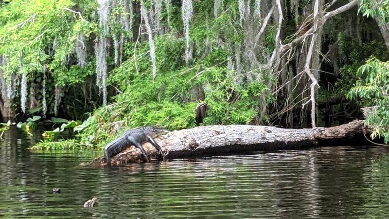Weirsdale Park - Weirsdale, FL