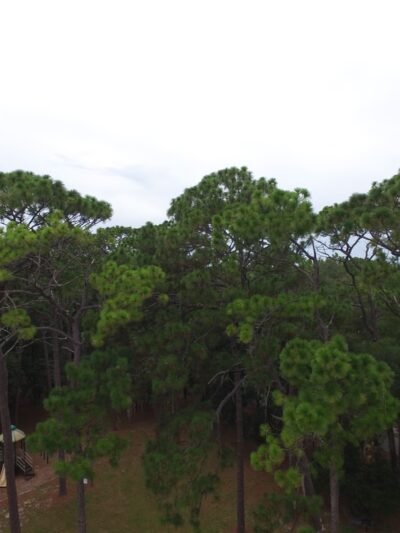 Weirsdale Park - Weirsdale, FL