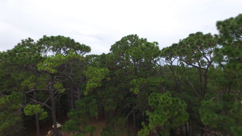 Weirsdale Park - Weirsdale, FL