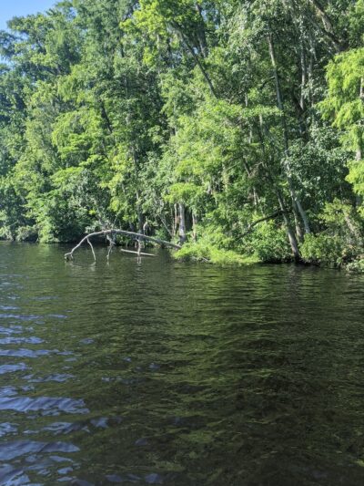 Weirsdale Park - Weirsdale, FL