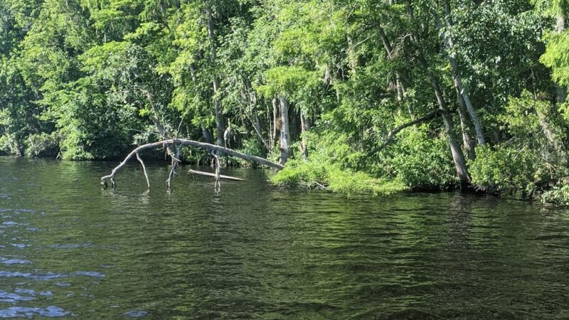 Weirsdale Park - Weirsdale, FL