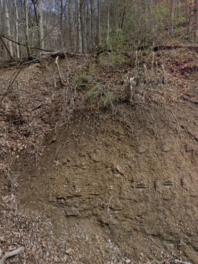 Premier Mountain Community Park - Welch, WV