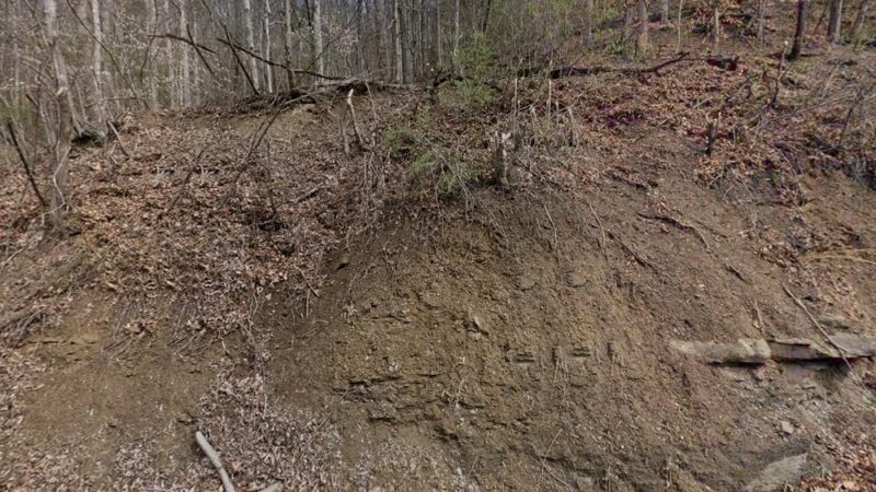 Premier Mountain Community Park - Welch, WV