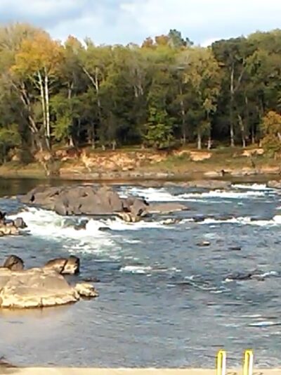 River Falls Park Trailhead. - Weldon, NC