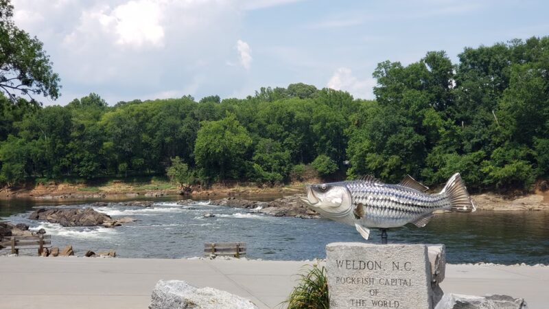 River Falls Park Trailhead. - Weldon, NC