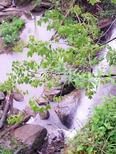 Broke Leg Falls - Wellington, KY