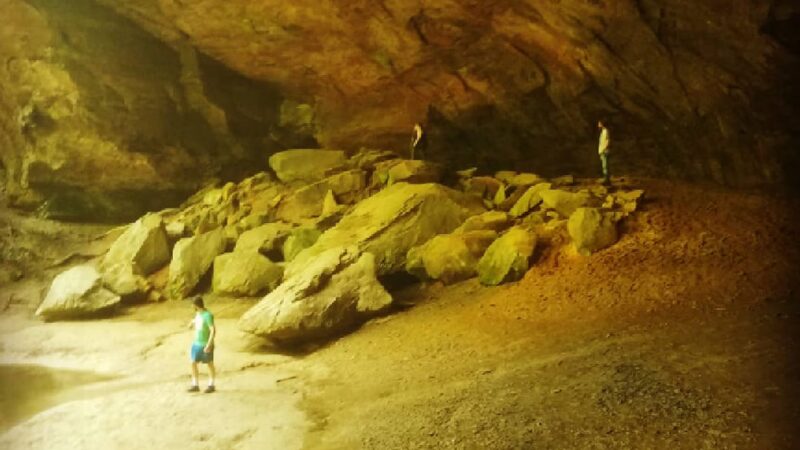 Clifty Wilderness - Wellington, KY