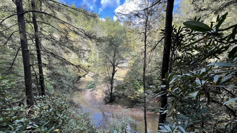 Clifty Wilderness - Wellington, KY