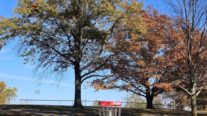 Wellman City Park - Wellman, IA