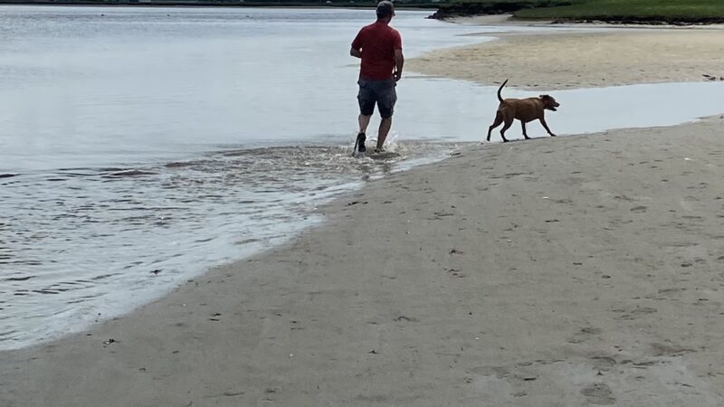Wells Harbor Beach - Wells, ME