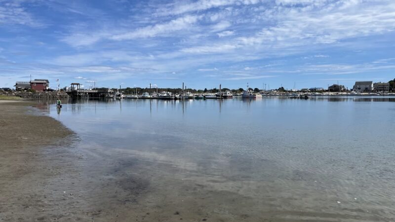 Wells Harbor Park - Wells, ME