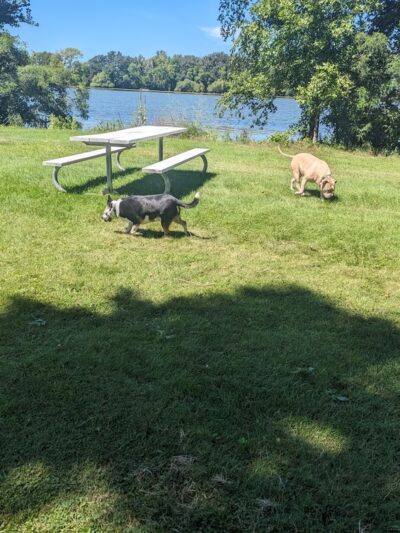 Faribault County Pihls Park - Wells, MN