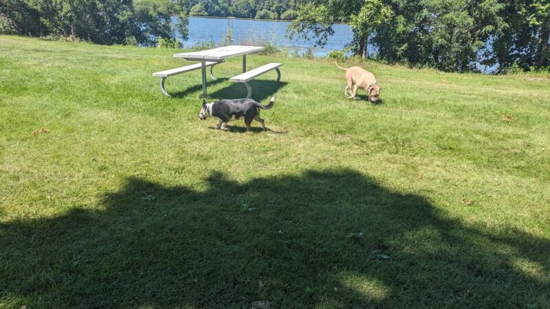 Faribault County Pihls Park - Wells, MN