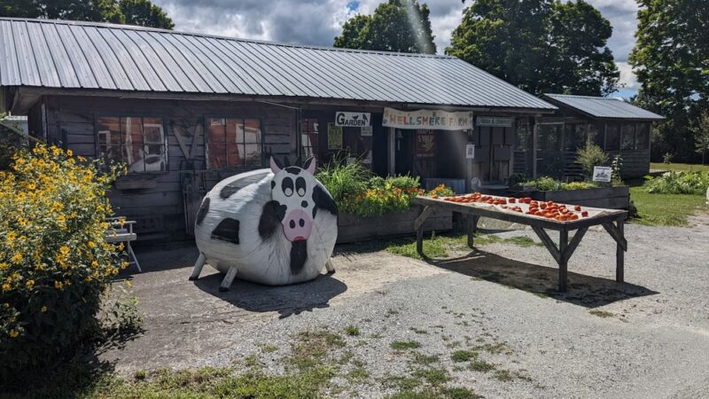 Wellsmere Farm - Wells, VT