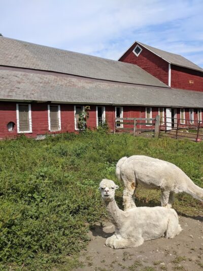 Wellsmere Farm - Wells, VT