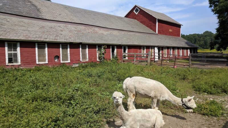 Wellsmere Farm - Wells, VT