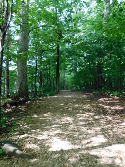 Lakeside Trail - Wellsville, PA