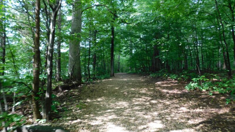Lakeside Trail - Wellsville, PA