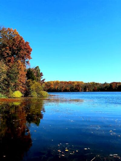 Pinchot Park Conewago Day Use Area - Wellsville, PA