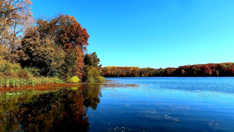 Pinchot Park Conewago Day Use Area - Wellsville, PA
