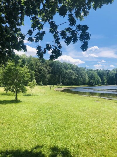 Pinchot Park Conewago Day Use Area - Wellsville, PA