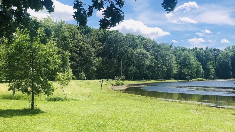 Pinchot Park Conewago Day Use Area - Wellsville, PA