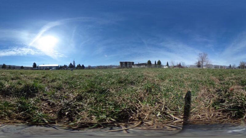 Un-Leashed - Wenatchee, WA