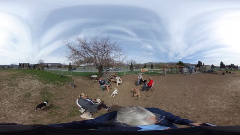 Un-Leashed - Wenatchee, WA