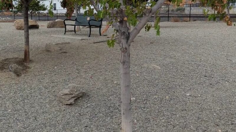 Hale Park Off Leash Area - Wenatchee, WA