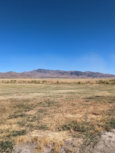 Honey Lake Wildlife Area - Wendel, CA
