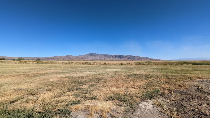 Honey Lake Wildlife Area - Wendel, CA
