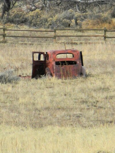 Honey Lake Wildlife Area - Wendel, CA