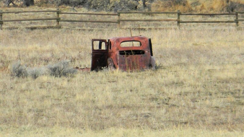 Honey Lake Wildlife Area - Wendel, CA