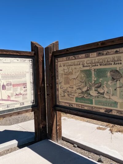 Honey Lake Wildlife Area - Wendel, CA