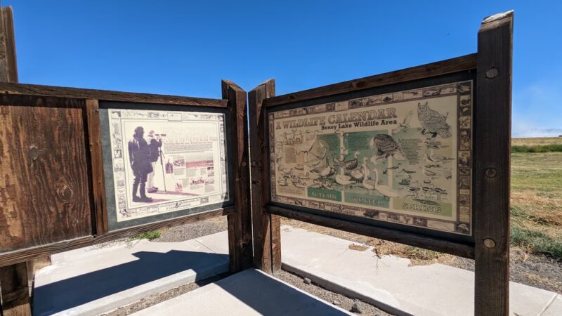 Honey Lake Wildlife Area - Wendel, CA